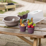 Dantoy - Green Garden - Groente Planten Set (54-delig)