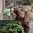 Dantoy - Green Garden - Groente Planten Set (54-delig)