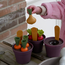 Dantoy - Green Garden - Groente Planten Set (54-delig)