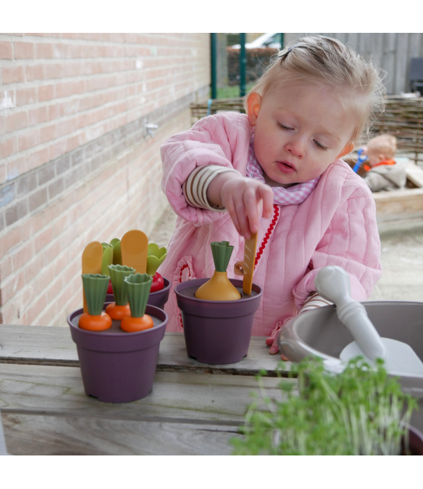 Dantoy Dantoy - Green Garden - Groente Planten Set (54-delig)