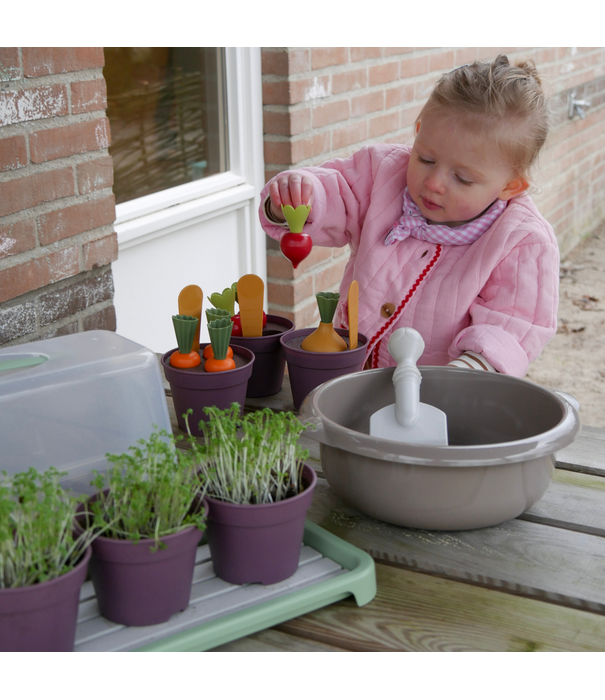 Dantoy Dantoy - Green Garden - Groente Planten Set (54-delig)