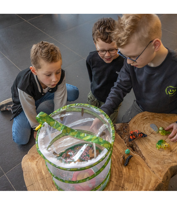 Insect Lore Insect Lore - Levenscyclus Set - Vlinder