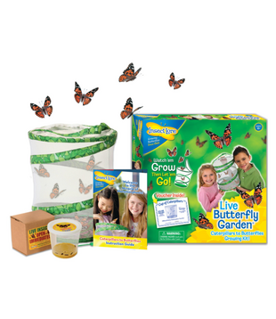 Levenscyclus Set - Vlinder