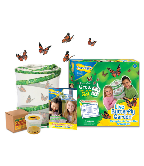 Insect Lore Insect Lore - Levenscyclus Set - Vlinder