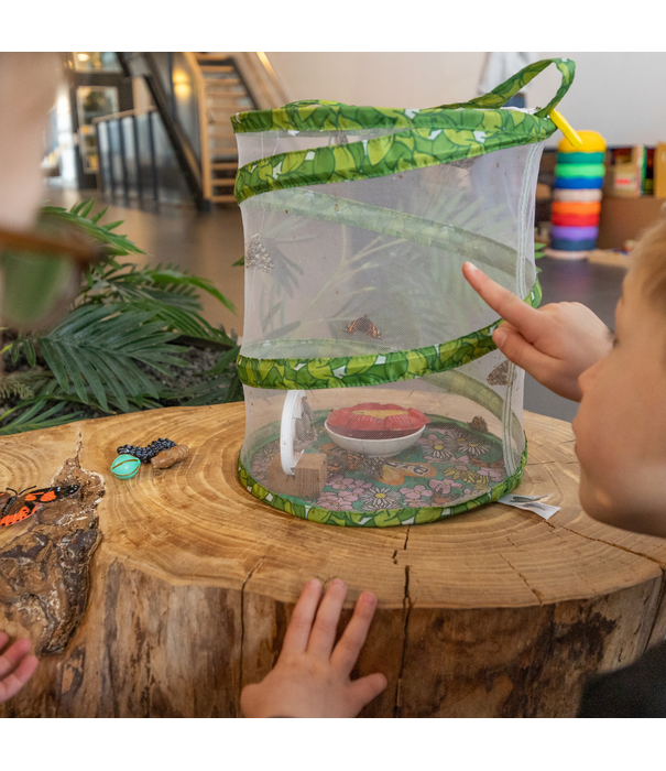 Insect Lore Insect Lore - Levenscyclus Set - Vlinder