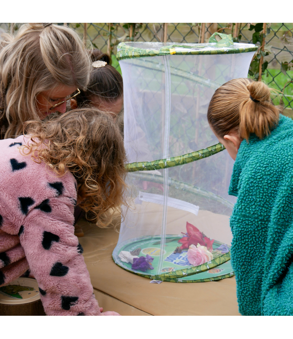 Insect Lore Insect Lore - Levenscyclus Set - Vlinder