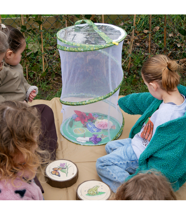 Insect Lore Insect Lore - Levenscyclus Set - Vlinder