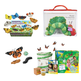 JUTTER & Co. || Ready to Play Speelpakket - Van Rups naar Vlinder Pakket