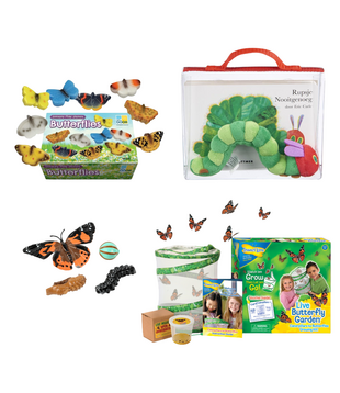 Ready to Play Speelpakket - Van Rups naar Vlinder Pakket