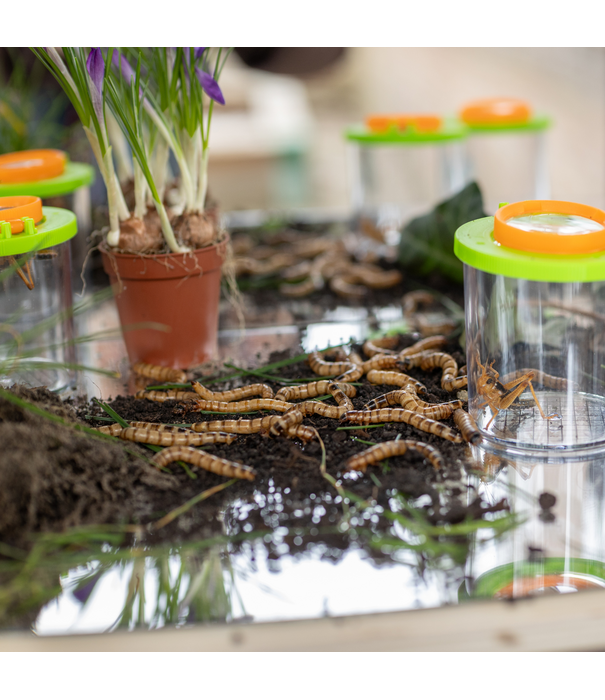 TickiT TickiT - Houten Spiegelbox