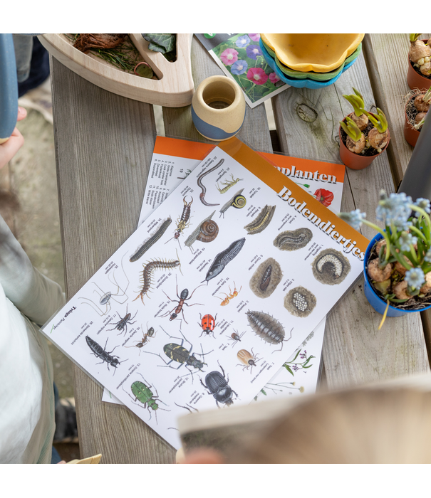 JUTTER & Co. JUTTER & Co. || Ready to Play Speelpakket  - Herkenningskaarten (12-delig)