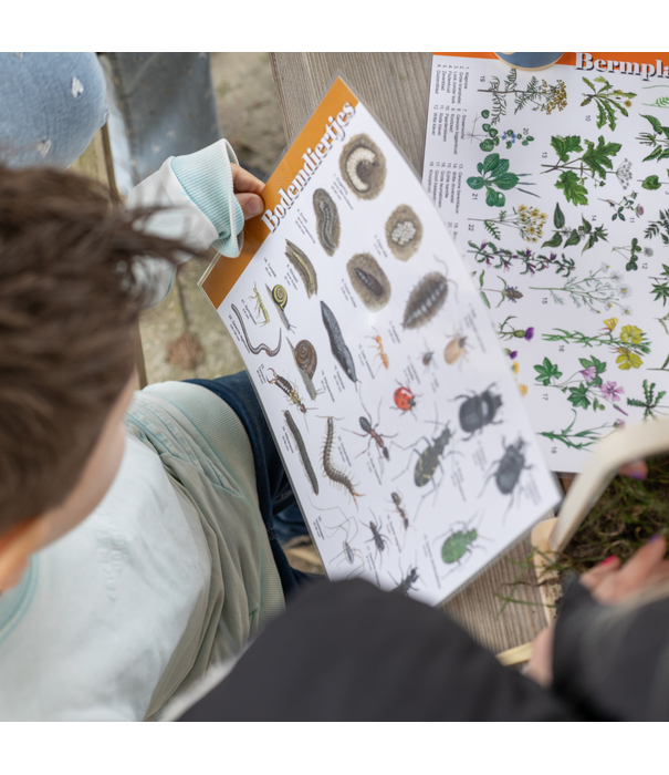 JUTTER & Co. JUTTER & Co. || Ready to Play Speelpakket  - Herkenningskaarten (12-delig)