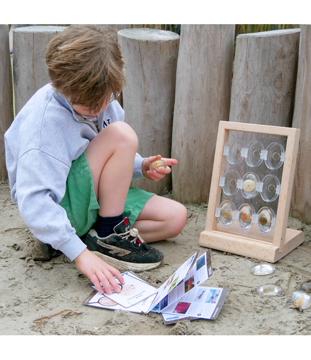 Guidecraft Guidecraft - Specimen - Houten Standaard