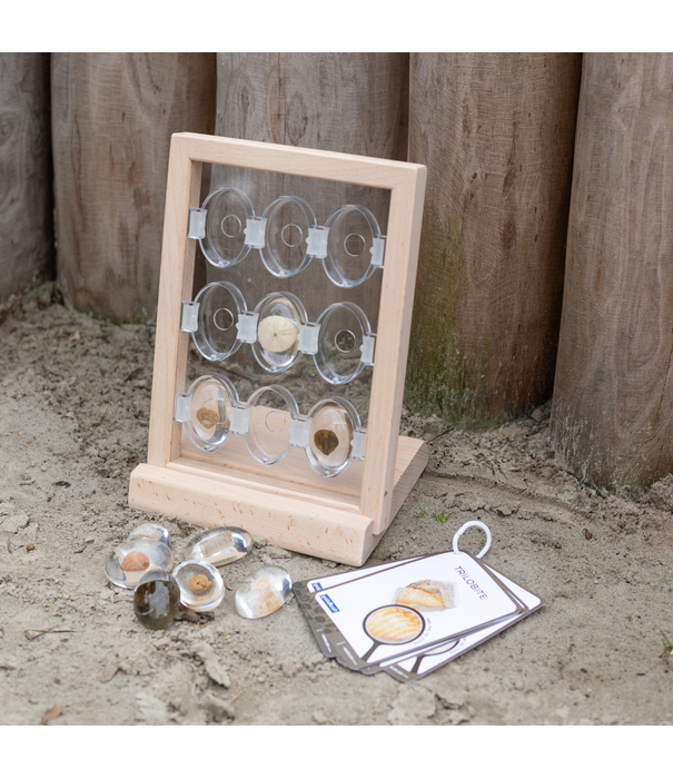 Guidecraft Guidecraft - Specimen - Houten Standaard