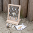 Guidecraft - Specimen - Houten Standaard