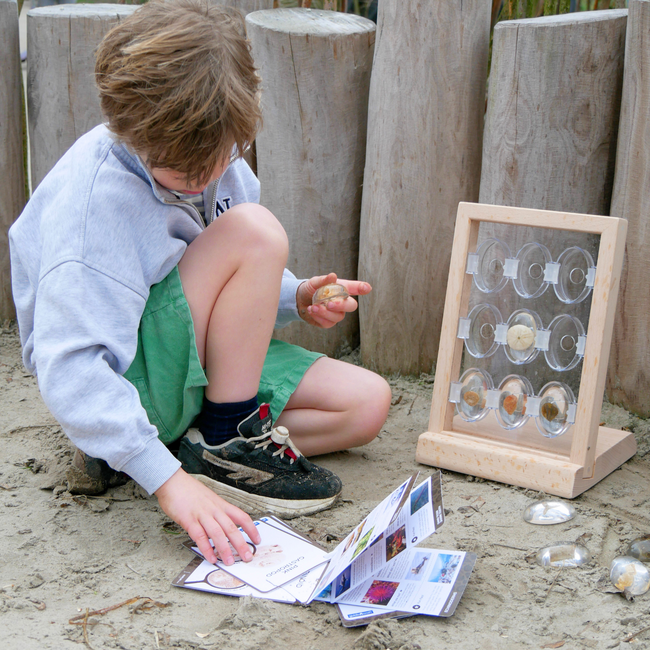 Guidecraft - Specimen Stenen - Zeedieren
