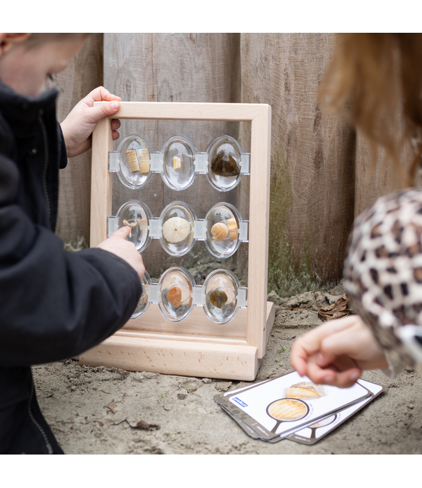 Guidecraft Guidecraft - Specimen Stenen - Kriebelbeestjes