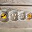 Guidecraft - Specimen Levenscyclus Puzzel Honingbij (4-delig)