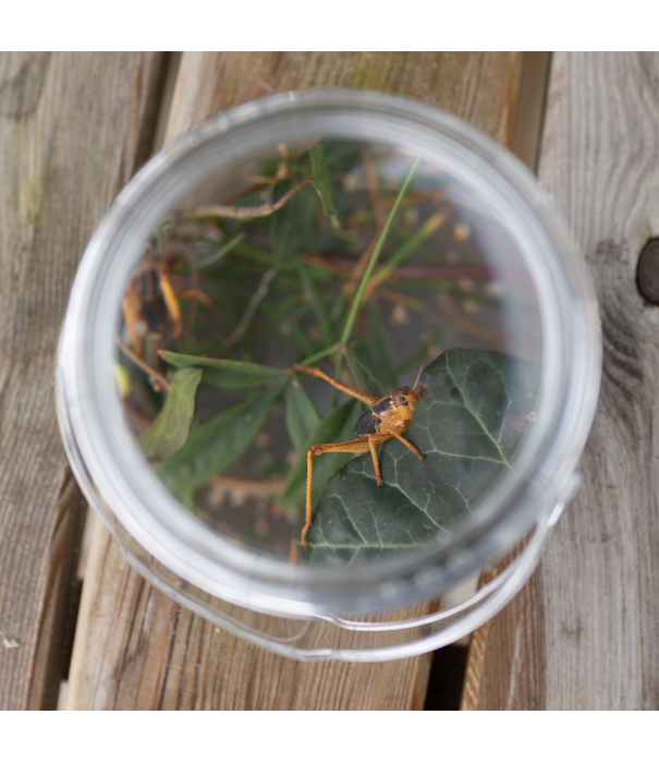 Guidecraft Guidecraft - Draag- en Ontdek Loeppotjes (2-delig)