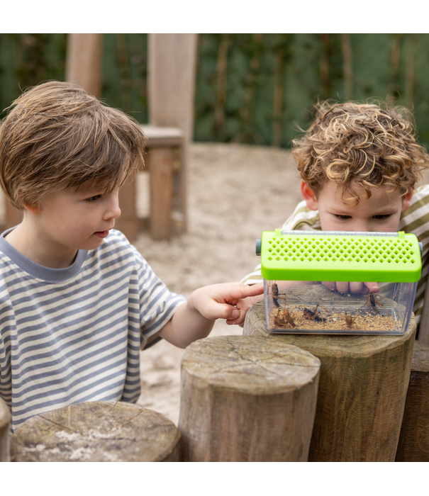 HABA HABA - Terra Kids Insectendoos