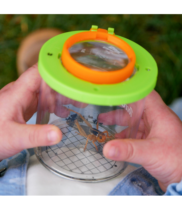 HABA HABA - Terra Kids - Bekerloep Insectenpotje