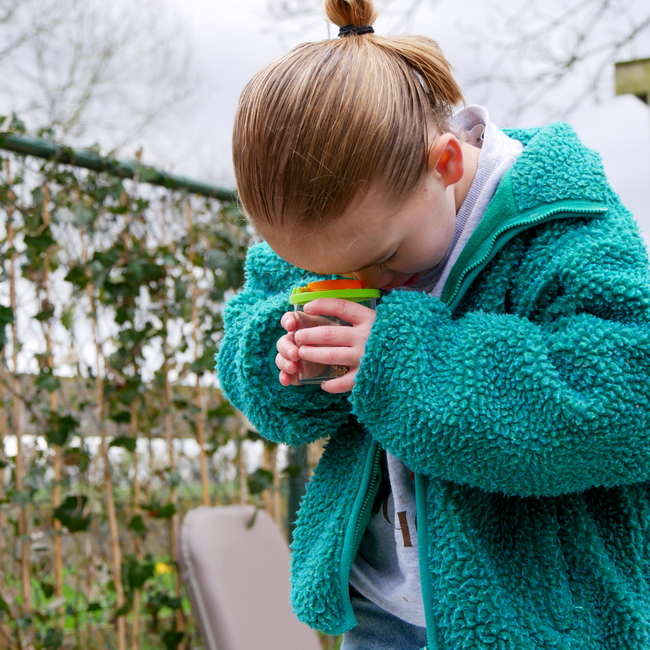 HABA - Terra Kids - Bekerloep Insectenpotje