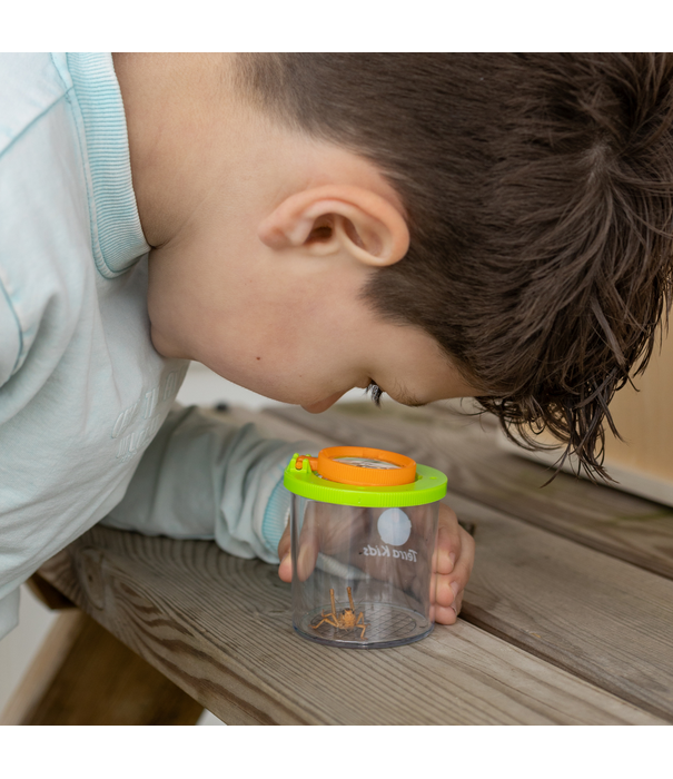 HABA HABA - Terra Kids - Bekerloep Insectenpotje