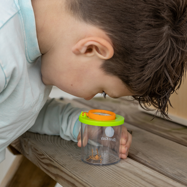 HABA - Terra Kids - Bekerloep Insectenpotje