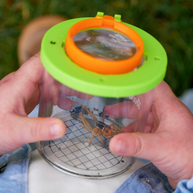 JUTTER & Co. | Ready to Play Speelpakket - Kinderopvang - Natuur