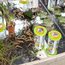 JUTTER & Co. | Ready to Play Speelpakket - Kinderopvang - Natuur