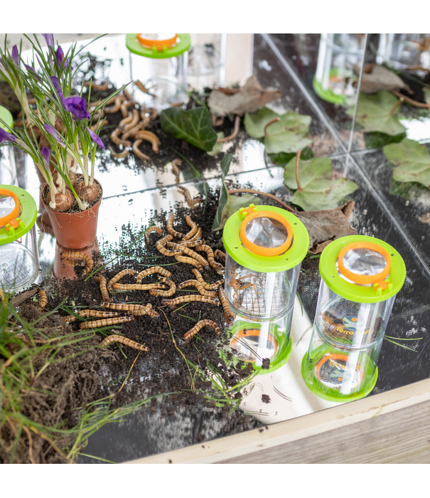 JUTTER & Co. JUTTER & Co. | Ready to Play Speelpakket - BSO- Natuur