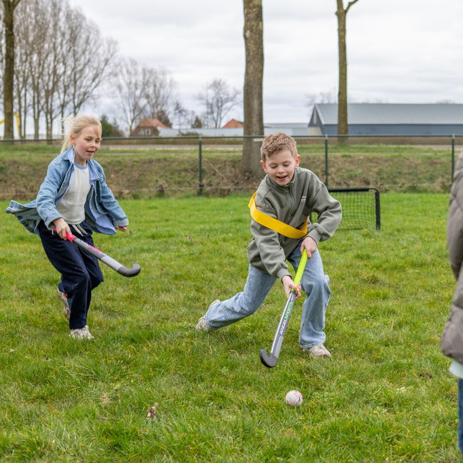 Megaform - Verstelbare Partijlintjes - Paars  (6-delig)