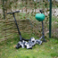 Micro - Kinderhelm Deluxe Medium - Forest Green
