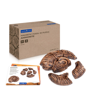Magnetische 3D Puzzel Ammoniet (6-delig)