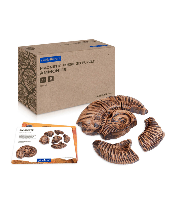 Guidecraft Guidecraft - Magnetische 3D Puzzel Ammoniet (6-delig)