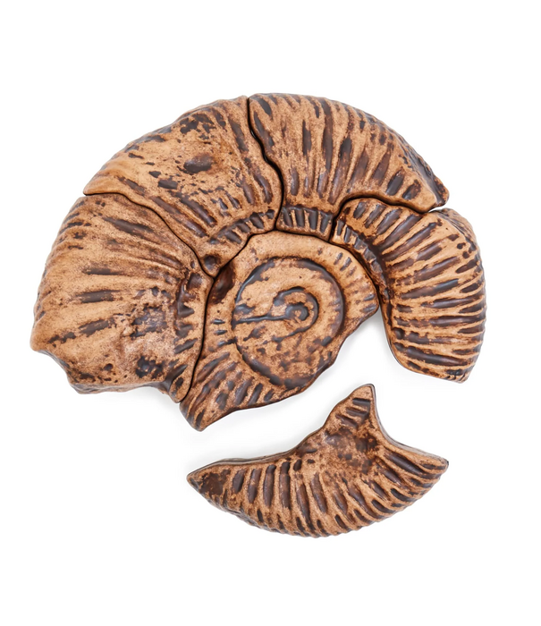 Guidecraft Guidecraft - Magnetische 3D Puzzel Ammoniet (6-delig)