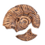 Guidecraft - Magnetische 3D Puzzel Ammoniet (6-delig)