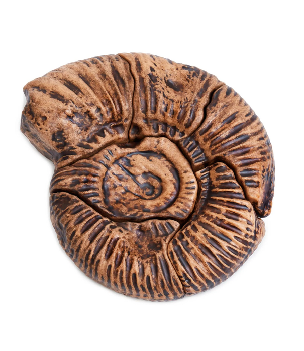Guidecraft Guidecraft - Magnetische 3D Puzzel Ammoniet (6-delig)