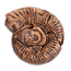 Guidecraft - Magnetische 3D Puzzel Ammoniet (6-delig)