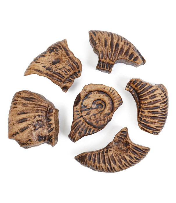 Guidecraft Guidecraft - Magnetische 3D Puzzel Ammoniet (6-delig)