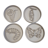 Kiddi - Vulvormen Set van Rups naar Vlinder (4-delig)