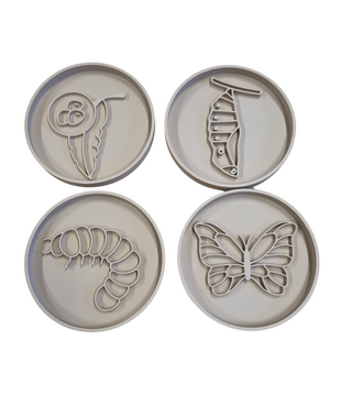 Vulvormen Set van Rups naar Vlinder (4-delig)