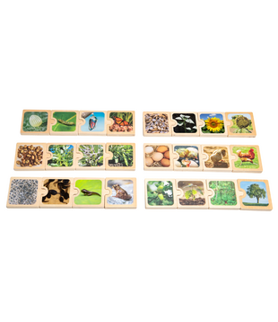 Levenscyclus Puzzels (24-delig)