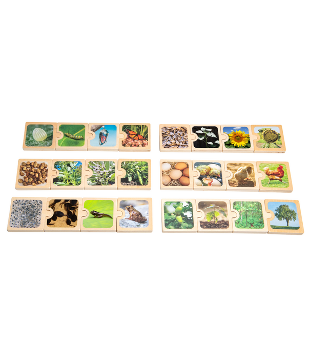 Educational Advantage Educational Advantage - Levenscyclus Puzzels (24-delig)