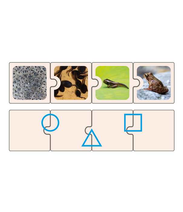 Educational Advantage Educational Advantage - Levenscyclus Puzzels (24-delig)