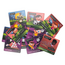 Kidsbox Play - Kidsbox Activiteitenbox | 7+