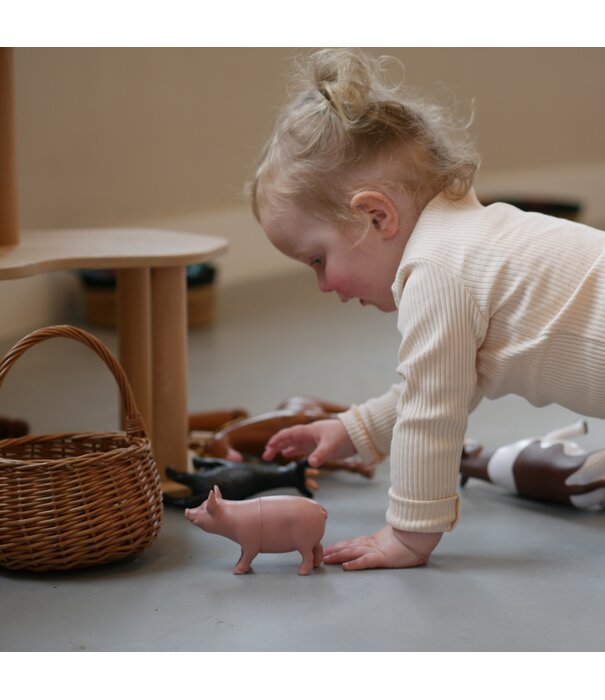 JUTTER & Co. JUTTER & Co. || Ready to Play Speelpakket -  Speeleiland Dieren Wereld