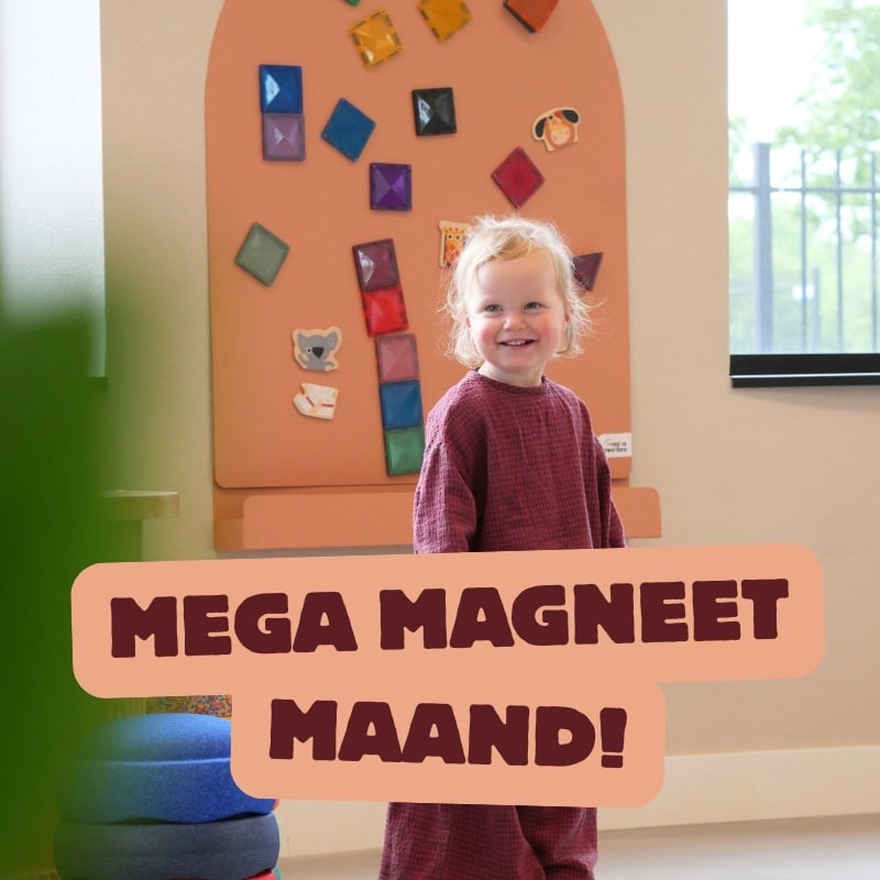 Mega Magneet Maand: Magnetisch Spel met 20% Korting
