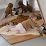 van Buren - Baby-Care Schapenvacht (110+ cm)