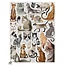 Crocodile Creek - Animal Puzzel - Cats (200-delig) | 8+